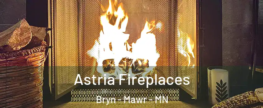 Astria Fireplaces Bryn - Mawr - MN