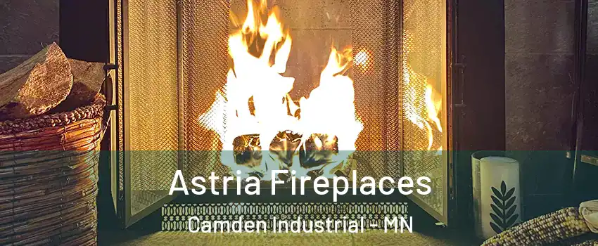 Astria Fireplaces Camden Industrial - MN