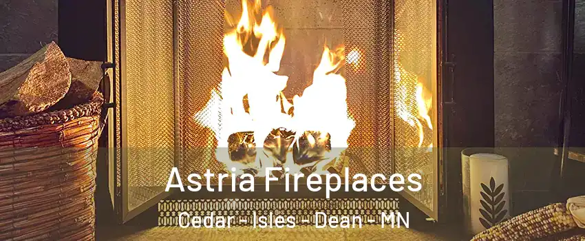 Astria Fireplaces Cedar - Isles - Dean - MN