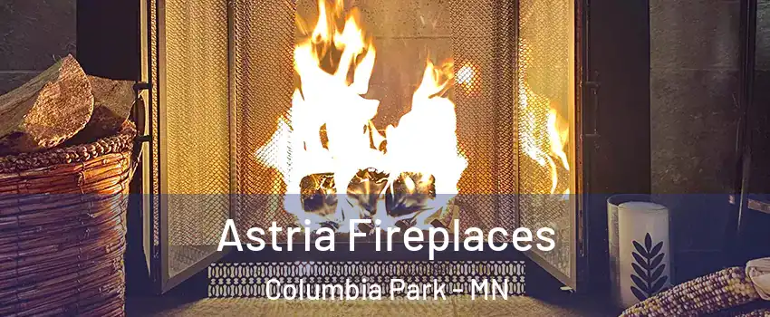 Astria Fireplaces Columbia Park - MN