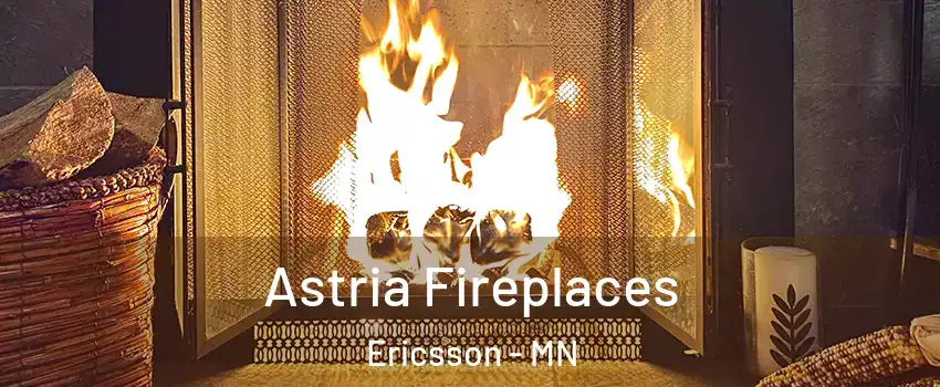 Astria Fireplaces Ericsson - MN