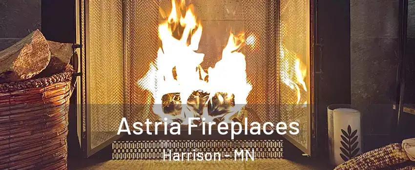 Astria Fireplaces Harrison - MN