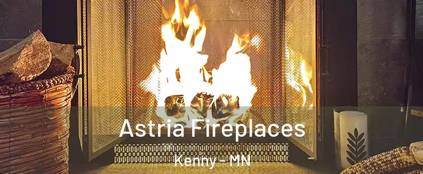 Astria Fireplaces Kenny - MN