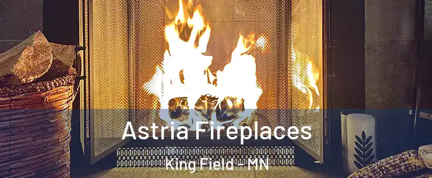 Astria Fireplaces King Field - MN