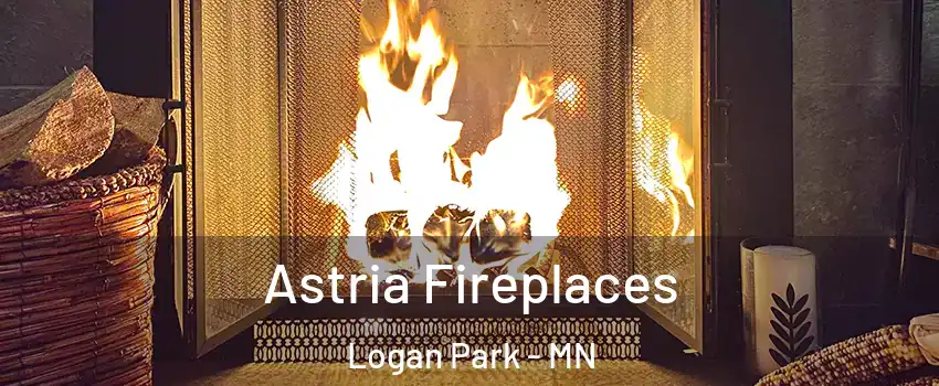 Astria Fireplaces Logan Park - MN