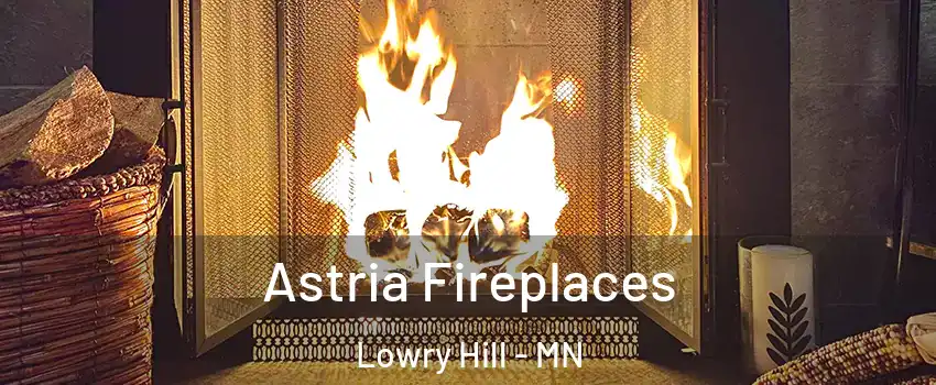 Astria Fireplaces Lowry Hill - MN