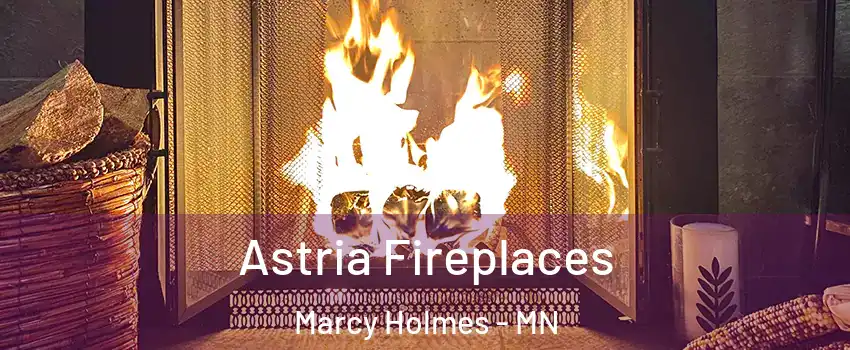 Astria Fireplaces Marcy Holmes - MN