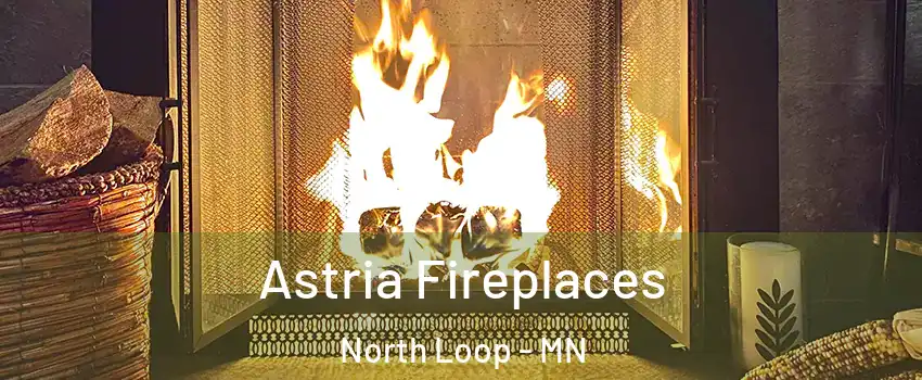 Astria Fireplaces North Loop - MN