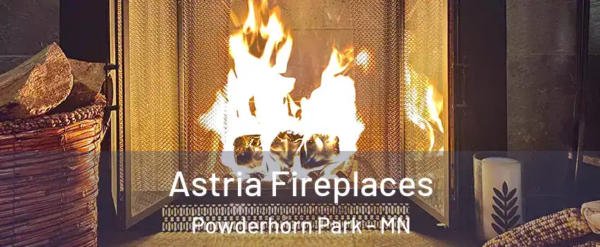 Astria Fireplaces Powderhorn Park - MN