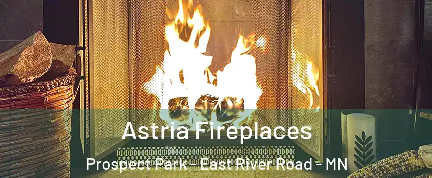 Astria Fireplaces Prospect Park - East River Road - MN