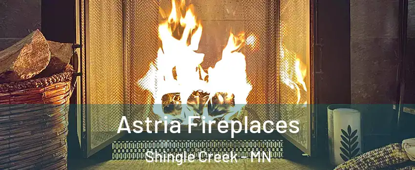 Astria Fireplaces Shingle Creek - MN