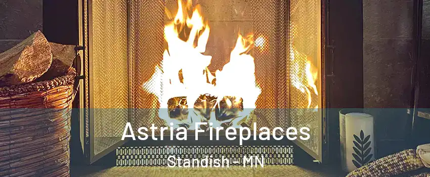 Astria Fireplaces Standish - MN