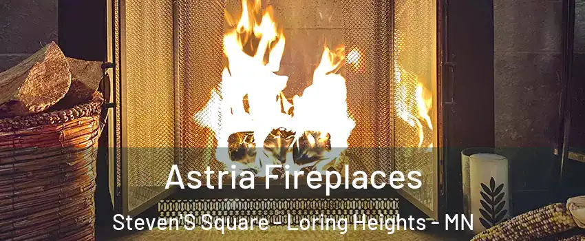 Astria Fireplaces Steven'S Square - Loring Heights - MN