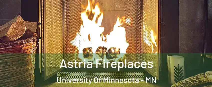 Astria Fireplaces University Of Minnesota - MN