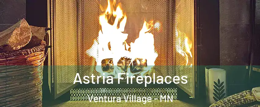 Astria Fireplaces Ventura Village - MN