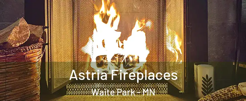 Astria Fireplaces Waite Park - MN