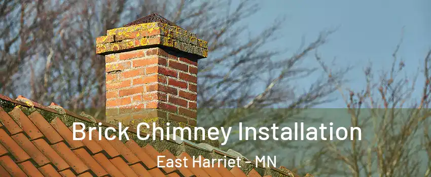Brick Chimney Installation East Harriet - MN