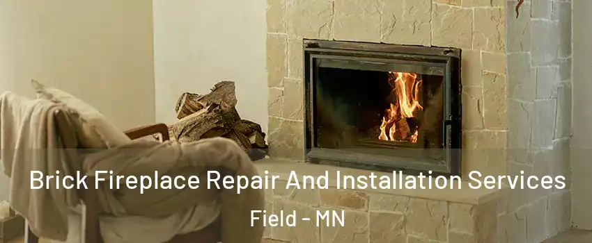 Brick Fireplace Repair And Installation Services Field - MN