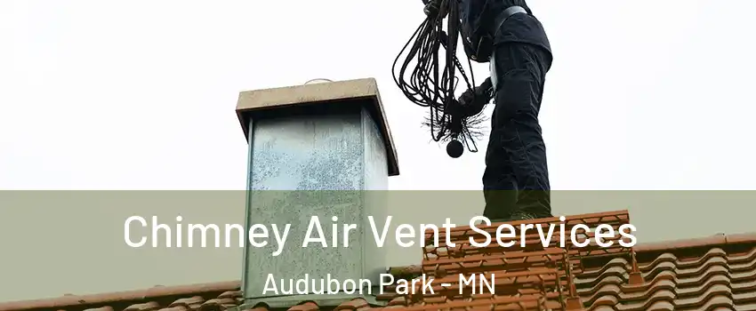 Chimney Air Vent Services Audubon Park - MN