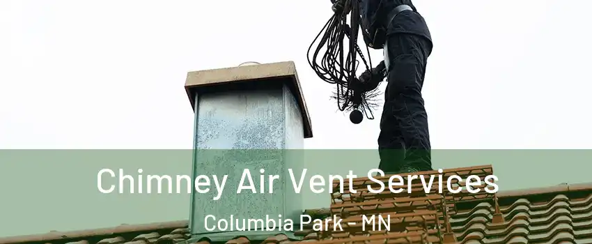 Chimney Air Vent Services Columbia Park - MN