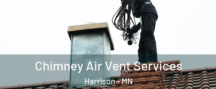 Chimney Air Vent Services Harrison - MN