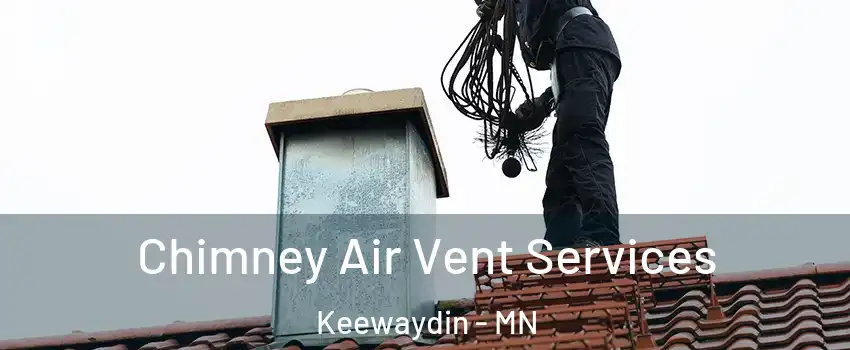 Chimney Air Vent Services Keewaydin - MN