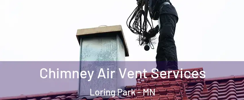 Chimney Air Vent Services Loring Park - MN