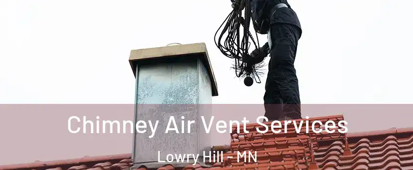Chimney Air Vent Services Lowry Hill - MN
