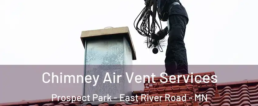 Chimney Air Vent Services Prospect Park - East River Road - MN