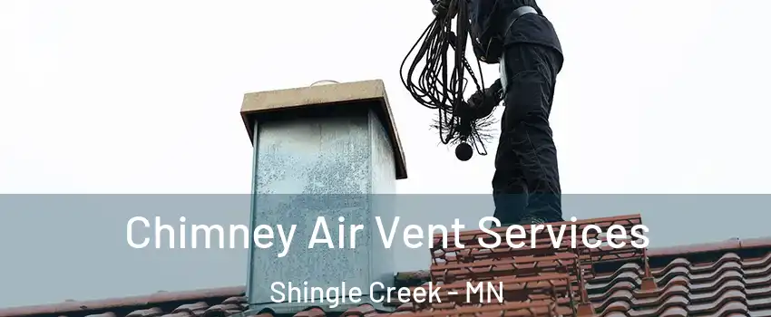 Chimney Air Vent Services Shingle Creek - MN