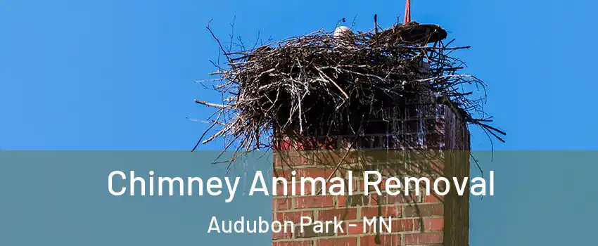 Chimney Animal Removal Audubon Park - MN