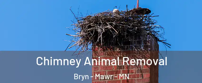 Chimney Animal Removal Bryn - Mawr - MN