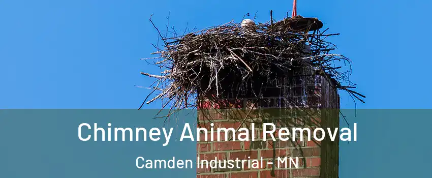 Chimney Animal Removal Camden Industrial - MN