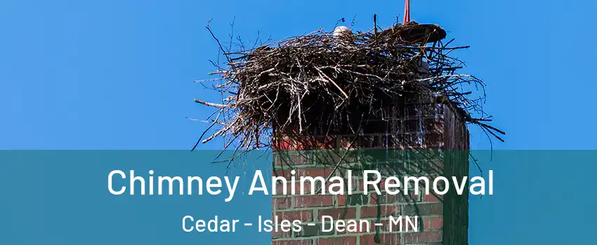 Chimney Animal Removal Cedar - Isles - Dean - MN