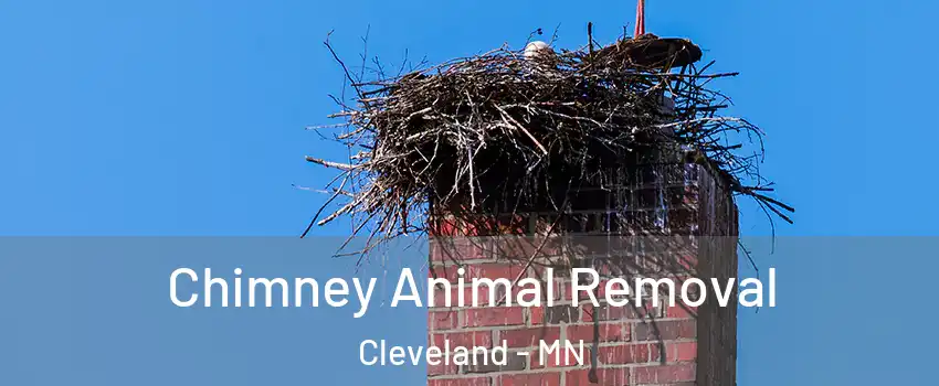 Chimney Animal Removal Cleveland - MN