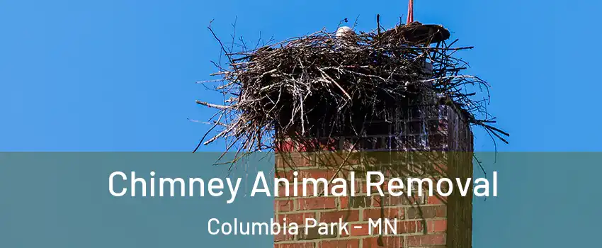 Chimney Animal Removal Columbia Park - MN