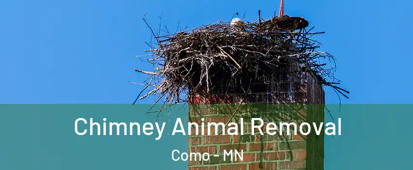 Chimney Animal Removal Como - MN