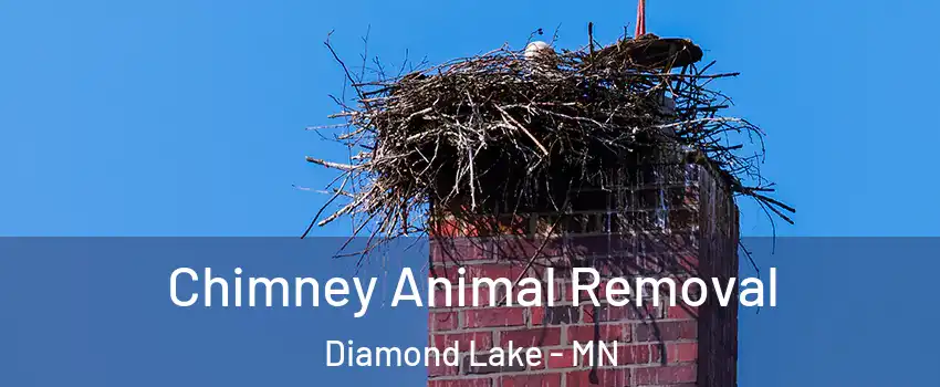 Chimney Animal Removal Diamond Lake - MN