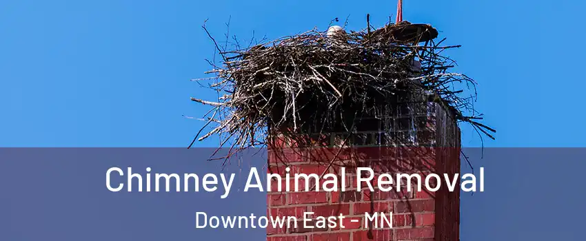 Chimney Animal Removal Downtown East - MN