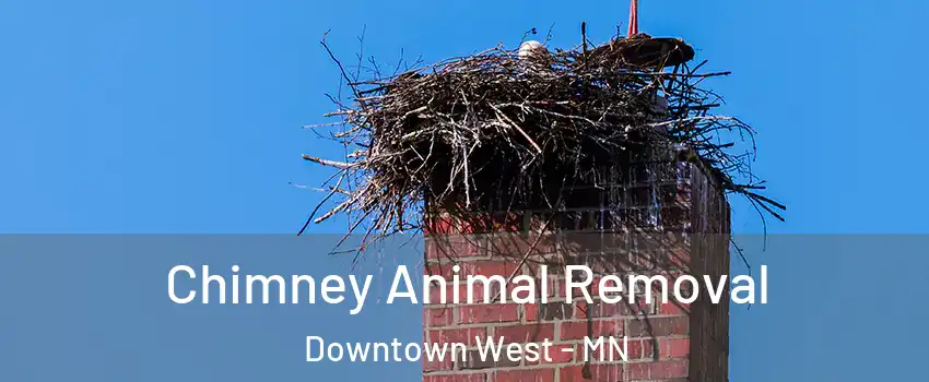 Chimney Animal Removal Downtown West - MN