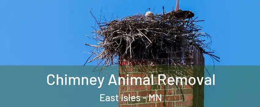 Chimney Animal Removal East Isles - MN