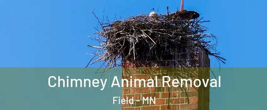 Chimney Animal Removal Field - MN