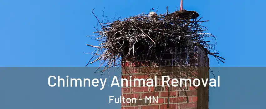 Chimney Animal Removal Fulton - MN