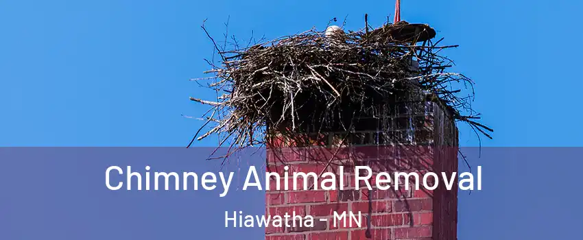 Chimney Animal Removal Hiawatha - MN