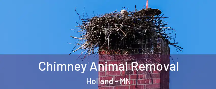 Chimney Animal Removal Holland - MN