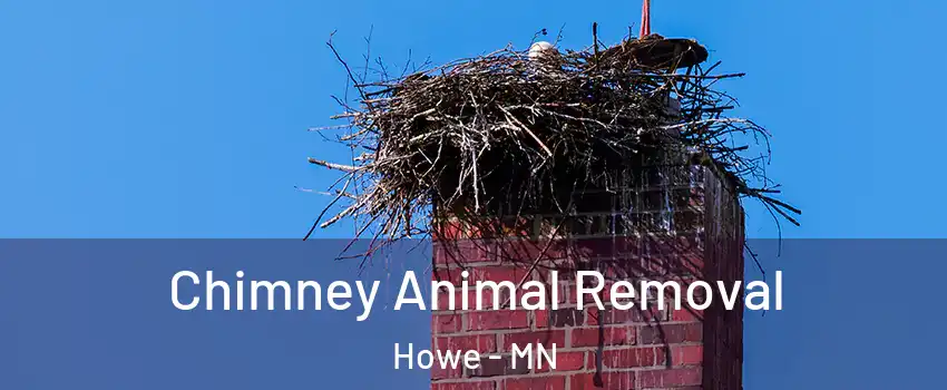 Chimney Animal Removal Howe - MN