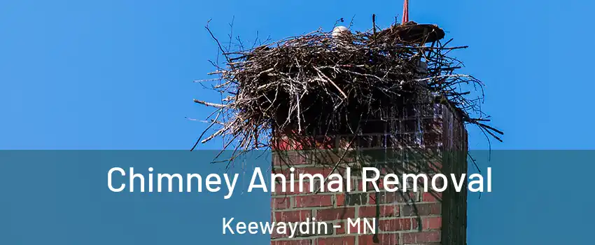 Chimney Animal Removal Keewaydin - MN