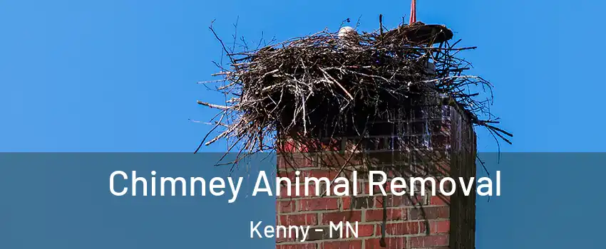Chimney Animal Removal Kenny - MN