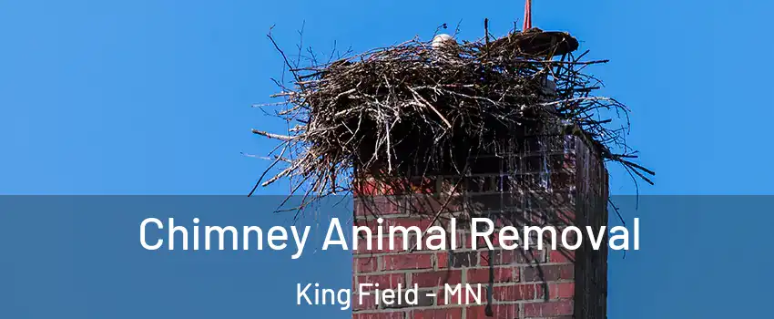 Chimney Animal Removal King Field - MN