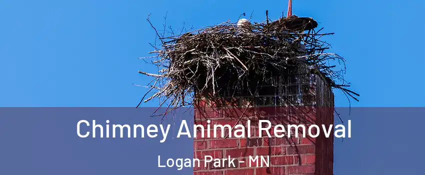 Chimney Animal Removal Logan Park - MN
